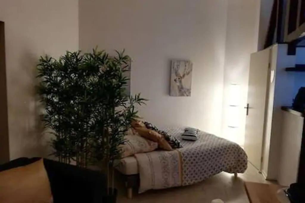 Apartment De Charme 4 Pers Centre Saint Gervais Rouen